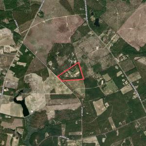 Photo #96 of 2338 Etters Lane, Cassatt, SC 28.0 acres