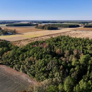 Photo #10 of Off Robersonville Products Rd, Williamston, NC 8.5 acres
