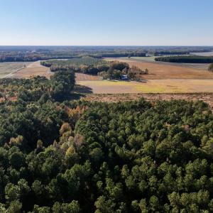 Photo #11 of Off Robersonville Products Rd, Williamston, NC 8.5 acres