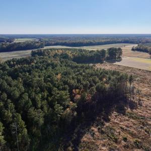 Photo #12 of Off Robersonville Products Rd, Williamston, NC 8.5 acres