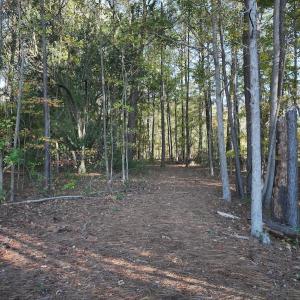 Photo #13 of Off Robersonville Products Rd, Williamston, NC 8.5 acres