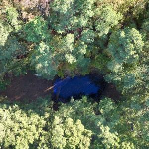 Photo #14 of Off Robersonville Products Rd, Williamston, NC 8.5 acres