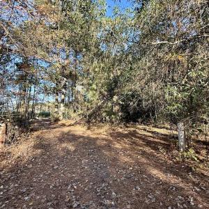 Photo #15 of Off Robersonville Products Rd, Williamston, NC 8.5 acres