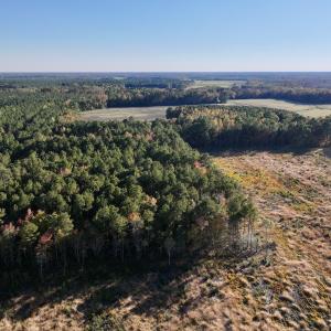 Photo #19 of Off Robersonville Products Rd, Williamston, NC 8.5 acres