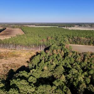 Photo #1 of Off Robersonville Products Rd, Williamston, NC 8.5 acres