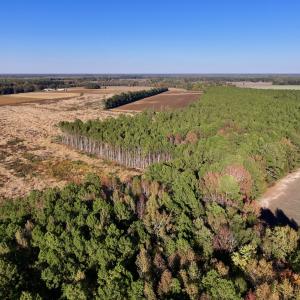 Photo #2 of Off Robersonville Products Rd, Williamston, NC 8.5 acres