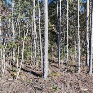 Photo #20 of Off Robersonville Products Rd, Williamston, NC 8.5 acres