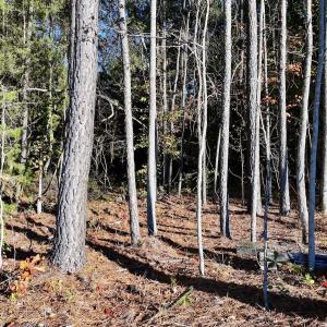 Photo #22 of Off Robersonville Products Rd, Williamston, NC 8.5 acres