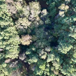 Photo #24 of Off Robersonville Products Rd, Williamston, NC 8.5 acres