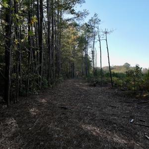 Photo #26 of Off Robersonville Products Rd, Williamston, NC 8.5 acres