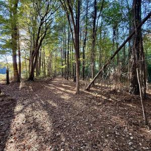 Photo #27 of Off Robersonville Products Rd, Williamston, NC 8.5 acres