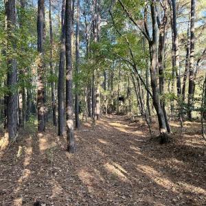 Photo #28 of Off Robersonville Products Rd, Williamston, NC 8.5 acres