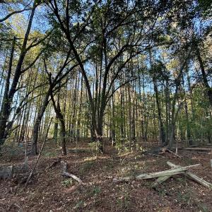 Photo #29 of Off Robersonville Products Rd, Williamston, NC 8.5 acres