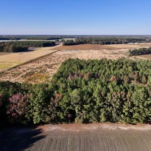 Photo #3 of Off Robersonville Products Rd, Williamston, NC 8.5 acres