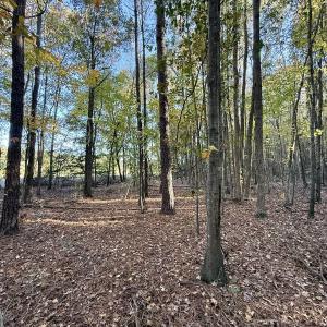 Photo #4 of Off Robersonville Products Rd, Williamston, NC 8.5 acres