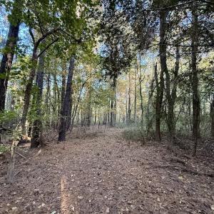 Photo #5 of Off Robersonville Products Rd, Williamston, NC 8.5 acres