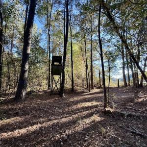 Photo #6 of Off Robersonville Products Rd, Williamston, NC 8.5 acres