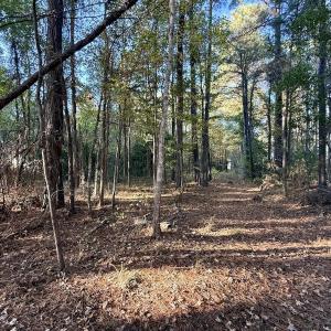 Photo #7 of Off Robersonville Products Rd, Williamston, NC 8.5 acres