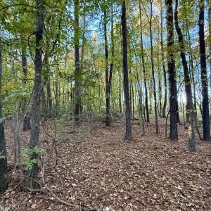 Photo #8 of Off Robersonville Products Rd, Williamston, NC 8.5 acres