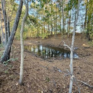 Photo #9 of Off Robersonville Products Rd, Williamston, NC 8.5 acres