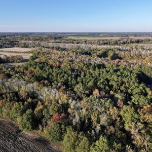 Photo #11 of 247 Quitsna Road, Windsor, NC 16.6 acres