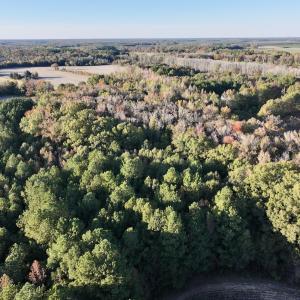 Photo #12 of 247 Quitsna Road, Windsor, NC 16.6 acres