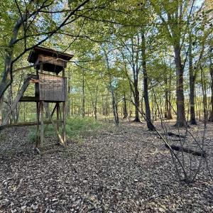 Photo #17 of 247 Quitsna Road, Windsor, NC 16.6 acres