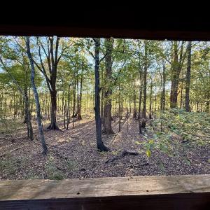 Photo #19 of 247 Quitsna Road, Windsor, NC 16.6 acres