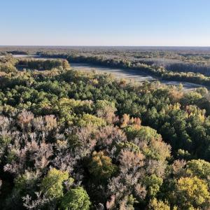 Photo #2 of 247 Quitsna Road, Windsor, NC 16.6 acres