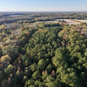 Photo #22 of 247 Quitsna Road, Windsor, NC 16.6 acres