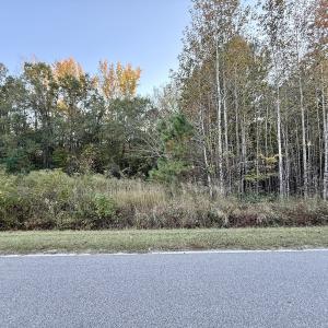 Photo #24 of 247 Quitsna Road, Windsor, NC 16.6 acres