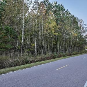 Photo #25 of 247 Quitsna Road, Windsor, NC 16.6 acres