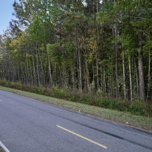 Photo #26 of 247 Quitsna Road, Windsor, NC 16.6 acres