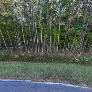 Photo #27 of 247 Quitsna Road, Windsor, NC 16.6 acres