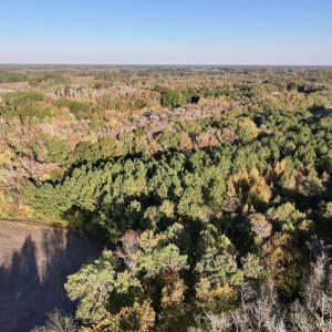 Photo #3 of 247 Quitsna Road, Windsor, NC 16.6 acres