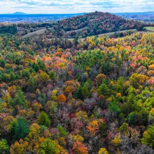 Photo #11 of Off Handy Mountain Dr, Stuart, VA 47.0 acres