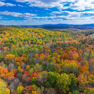 Photo #17 of Off Handy Mountain Dr, Stuart, VA 47.0 acres