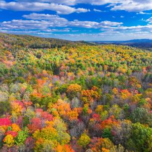 Photo #18 of Off Handy Mountain Dr, Stuart, VA 47.0 acres