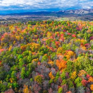 Photo #19 of Off Handy Mountain Dr, Stuart, VA 47.0 acres