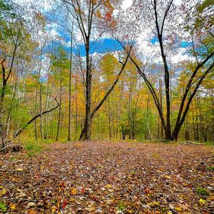 Photo #20 of Off Handy Mountain Dr, Stuart, VA 47.0 acres