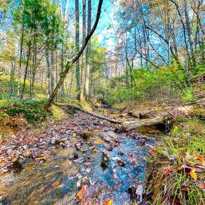 Photo #6 of Off Handy Mountain Dr, Stuart, VA 47.0 acres