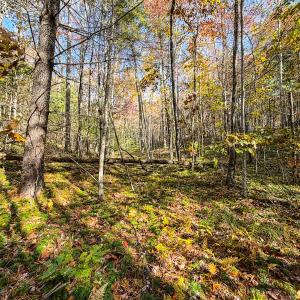 Photo #7 of Off Handy Mountain Dr, Stuart, VA 47.0 acres