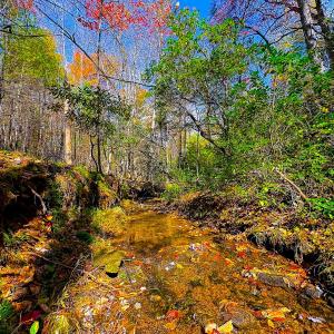 Photo #22 of Off Handy Mountain Dr, Stuart, VA 47.0 acres