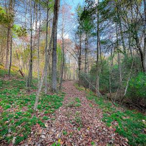 Photo #32 of Off Handy Mountain Dr, Stuart, VA 47.0 acres