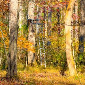 Photo #34 of Off Handy Mountain Dr, Stuart, VA 47.0 acres