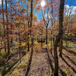 Photo #35 of Off Handy Mountain Dr, Stuart, VA 47.0 acres