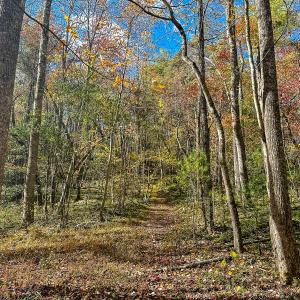 Photo #36 of Off Handy Mountain Dr, Stuart, VA 47.0 acres