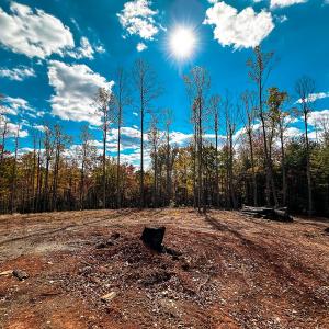 Photo #41 of Off Handy Mountain Dr, Stuart, VA 47.0 acres