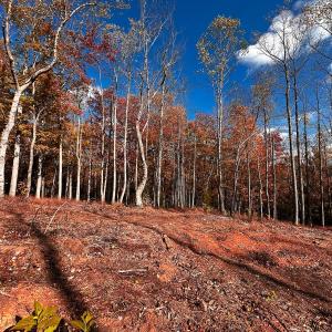 Photo #42 of Off Handy Mountain Dr, Stuart, VA 47.0 acres