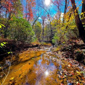 Photo #43 of Off Handy Mountain Dr, Stuart, VA 47.0 acres